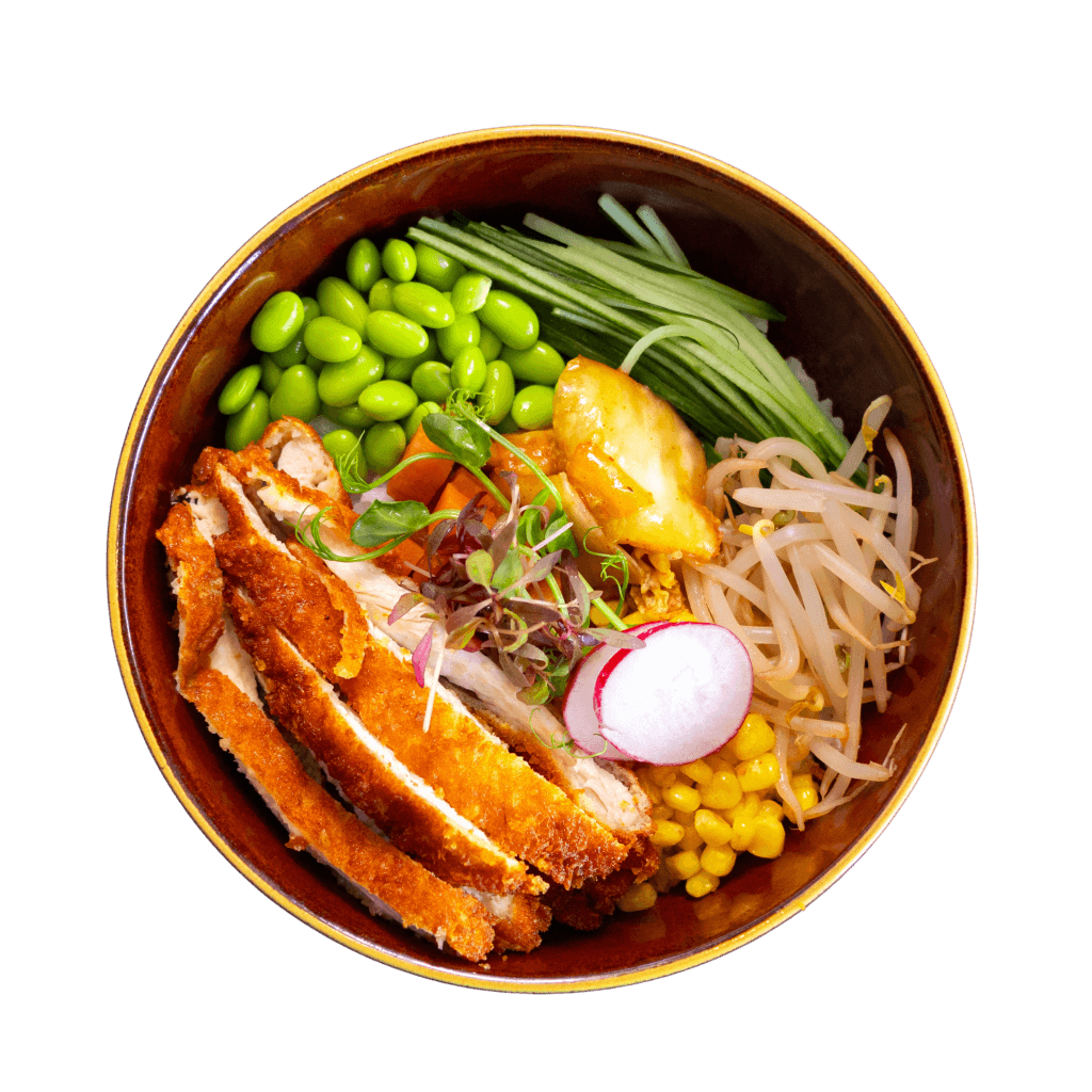 Panko Chicken